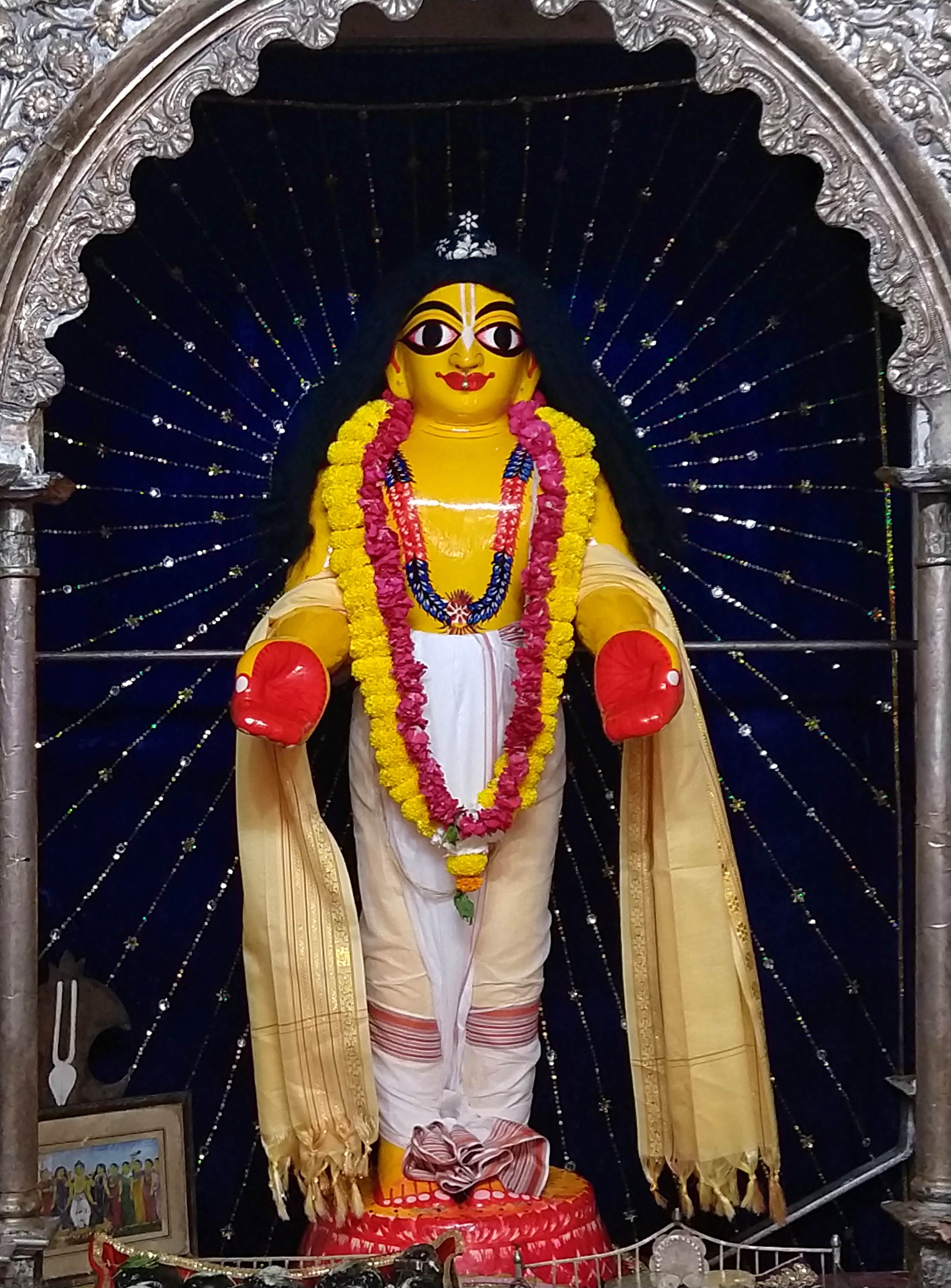 Swami Chaitanya Madhavi