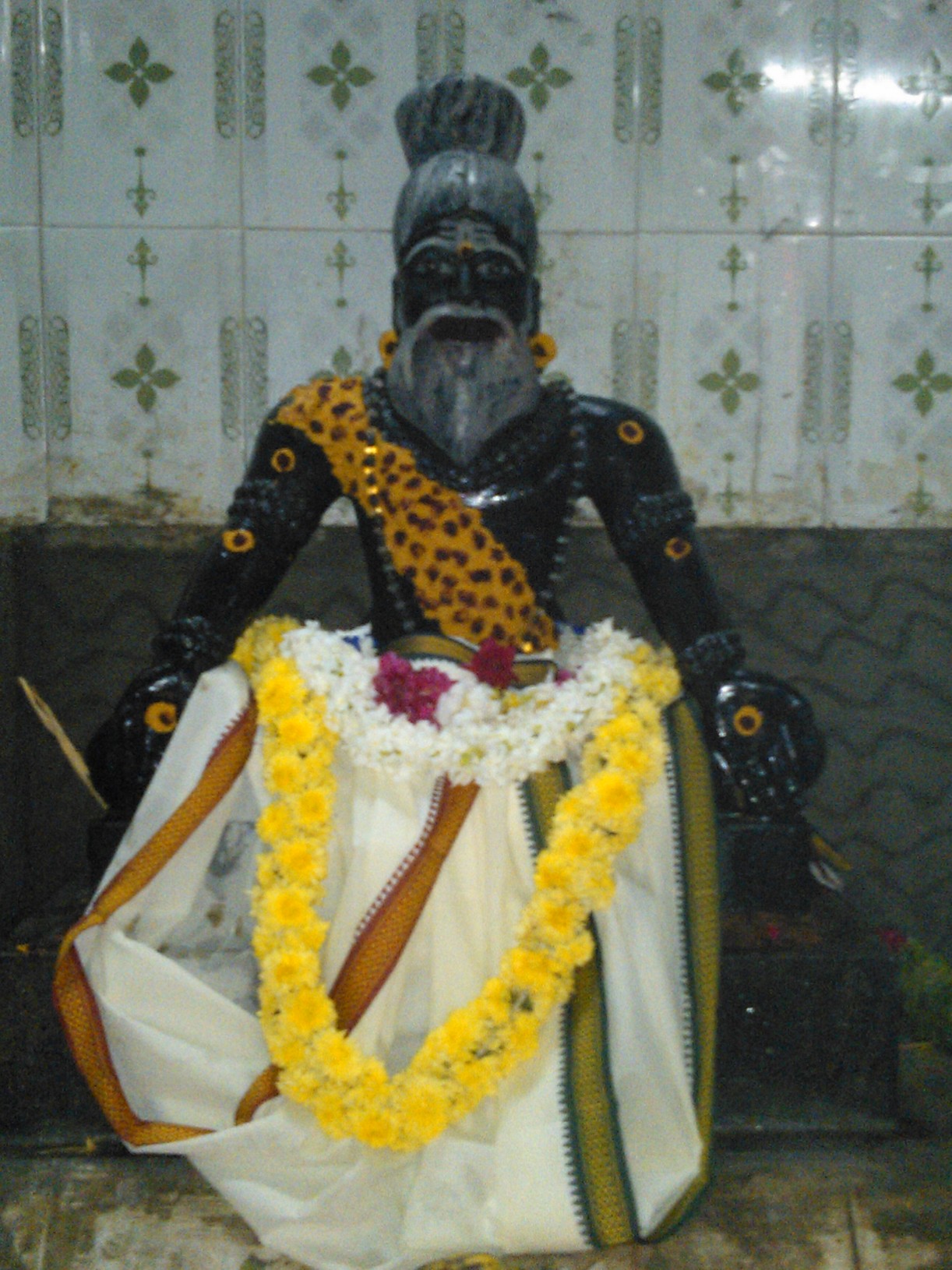 Adheenam Shaiva Acharya